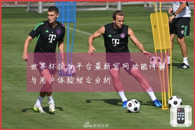 世界杯投注平台最新官网功能详解与用户体验综合分析