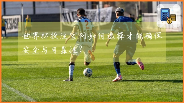 世界杯投注官网如何选择才能确保安全与可靠性？