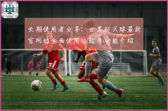 长期使用者分享：世界杯买球最新官网的全面使用体验与功能介绍