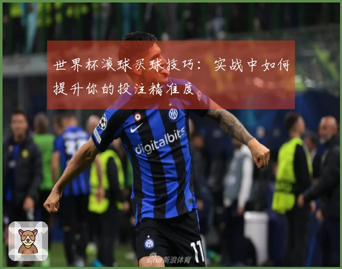 世界杯滚球买球技巧：实战中如何提升你的投注精准度