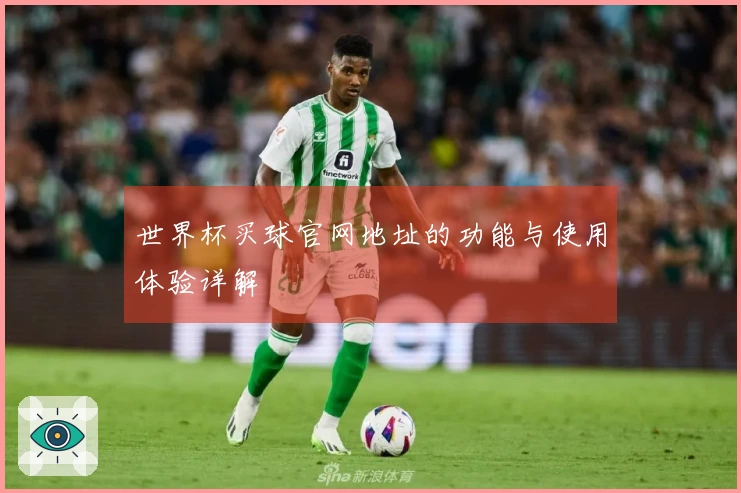 世界杯买球官网地址的功能与使用体验详解