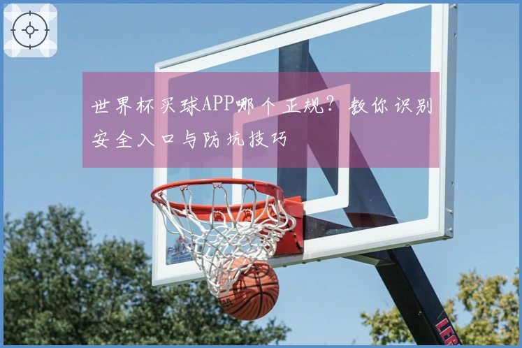 世界杯买球APP哪个正规？教你识别安全入口与防坑技巧
