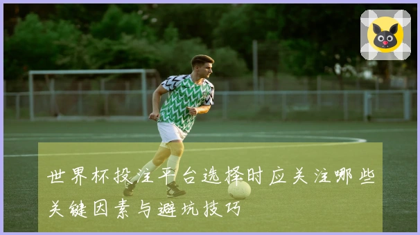 世界杯投注平台选择时应关注哪些关键因素与避坑技巧