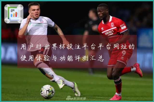 用户对世界杯投注平台平台网址的使用体验与功能评测汇总
