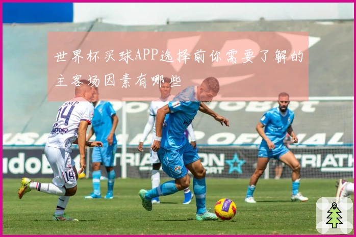 世界杯买球APP选择前你需要了解的主客场因素有哪些