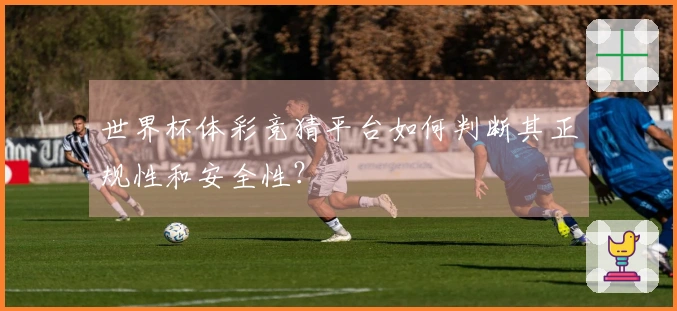 世界杯体彩竞猜平台如何判断其正规性和安全性？