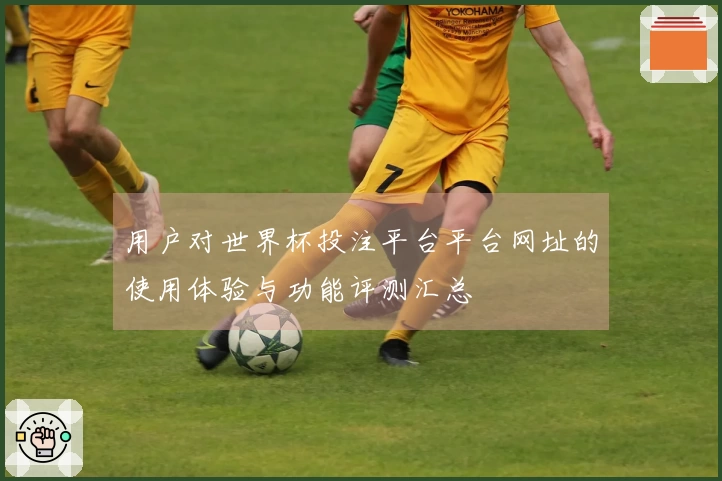 用户对世界杯投注平台平台网址的使用体验与功能评测汇总