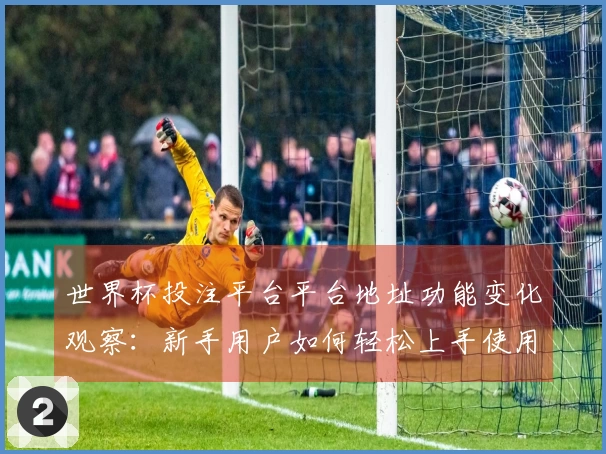 世界杯投注平台平台地址功能变化观察：新手用户如何轻松上手使用？
